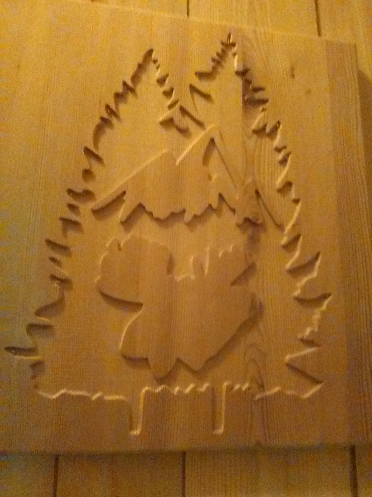 20210402_102228.jpg
