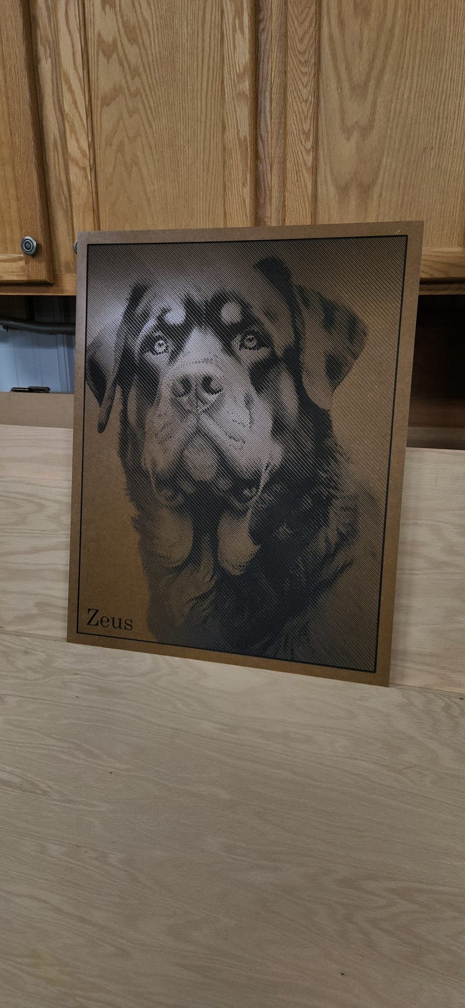 dog 2.jpg