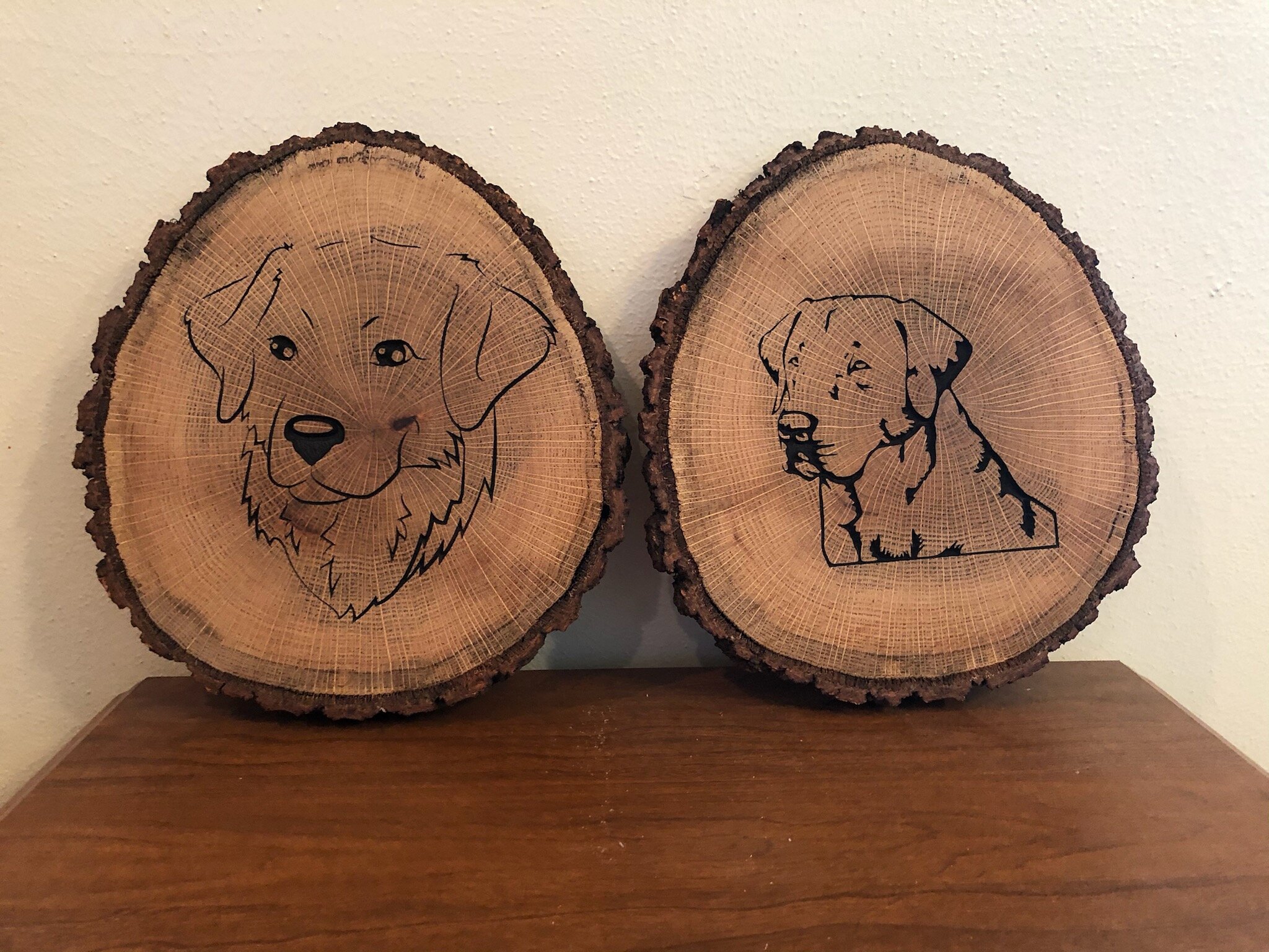 Dogs.jpg